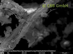 REM-Bild Chrysotil-Asbest in Putz, Spachtel | © CRB Analyse Service GmbH
