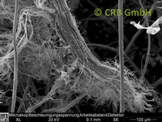 REM-Bild Chrysotil-Asbest in Dämmplatte | © CRB Analyse Service GmbH