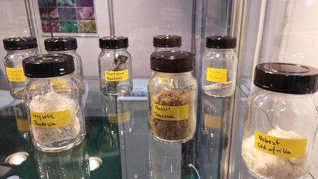 Materialsammlung zur Analyse mit Schwerpunkt Asbest und Radon | © CRB Analyse Service GmbH