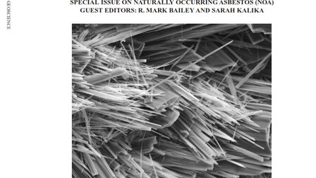 Titelblatt Sonderausgabe des Journal of Environmental and Engineering Geoscience (E&EG) mit dem Thema 'Naturally Occurring Asbestos (NOA)'. | © Journal of Environmental and Engineering Geoscience (E&EG) 
