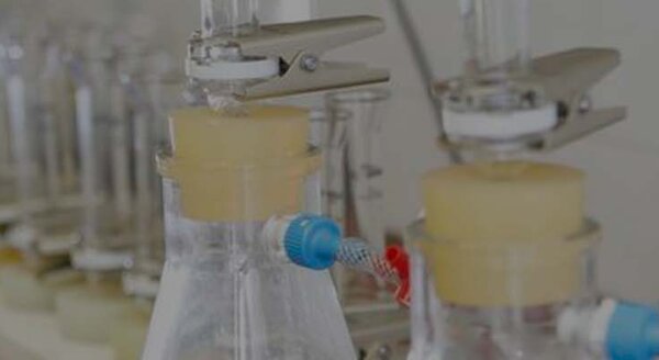 Laboratory recording Quality management and interlaboratory tests | © CRB Analyse Service GmbH
